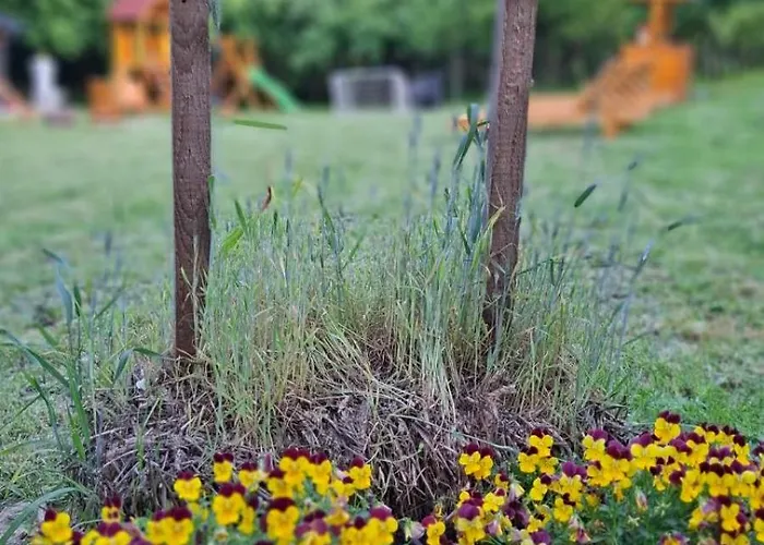 Kuca Za Odmor Stara Jabuka Дом отдыха